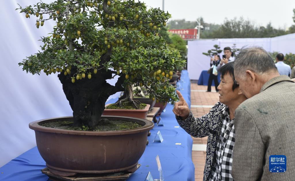捕鱼大咖下载网址